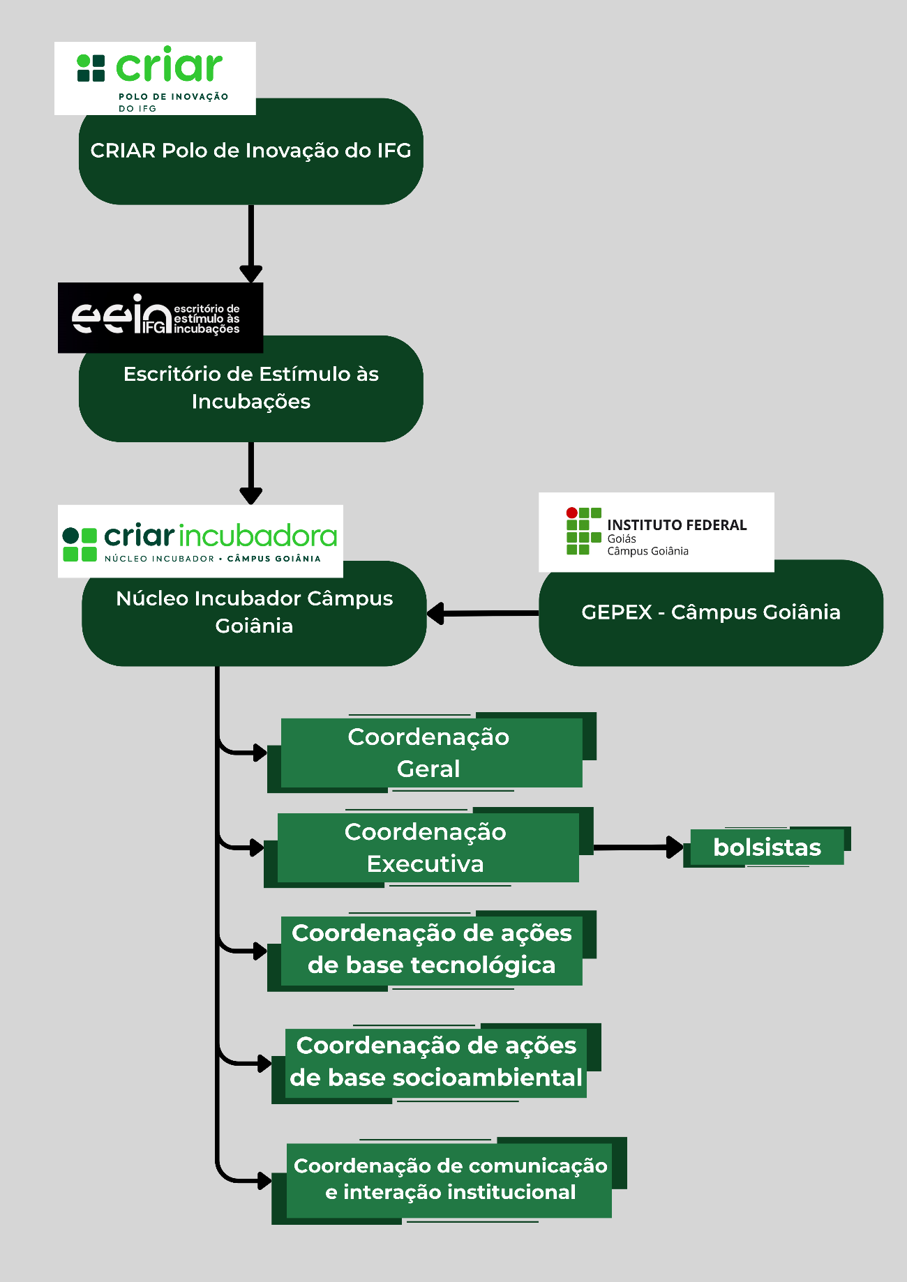 Estrutura Organizacional